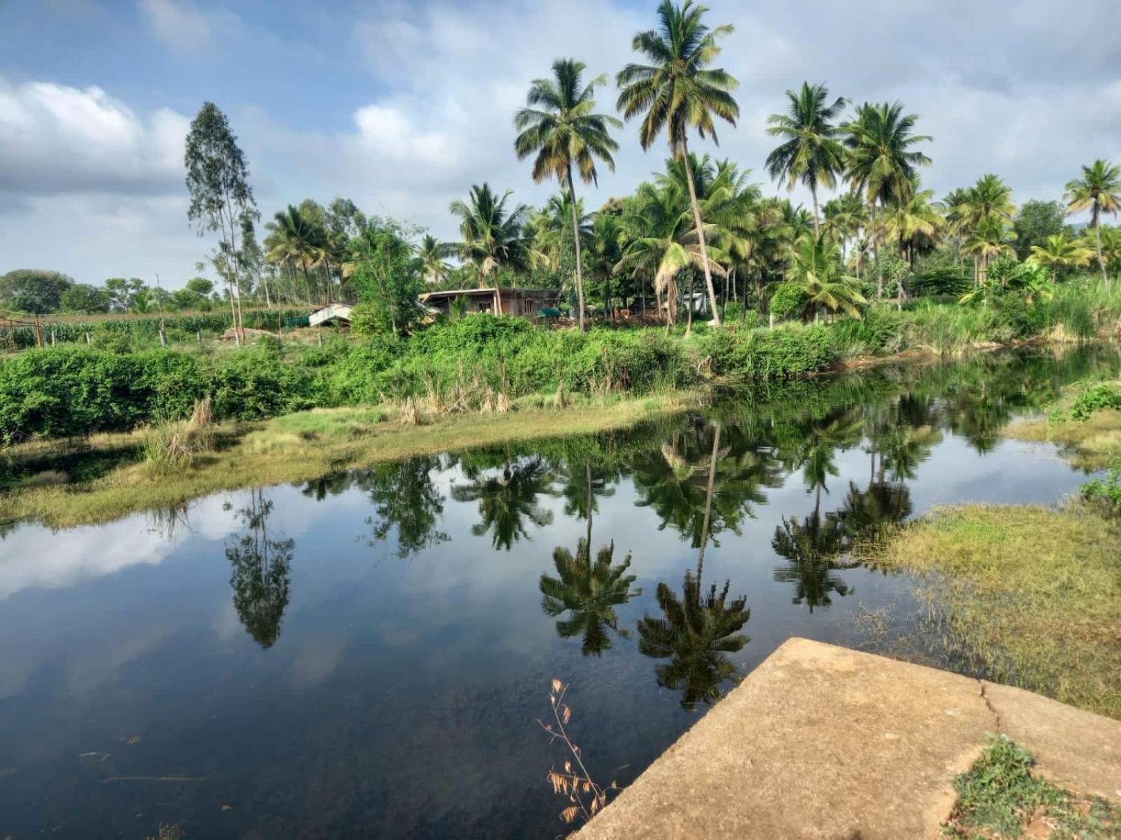 Wilderness Jungle Camp Hotel Malavalli Exterior photo